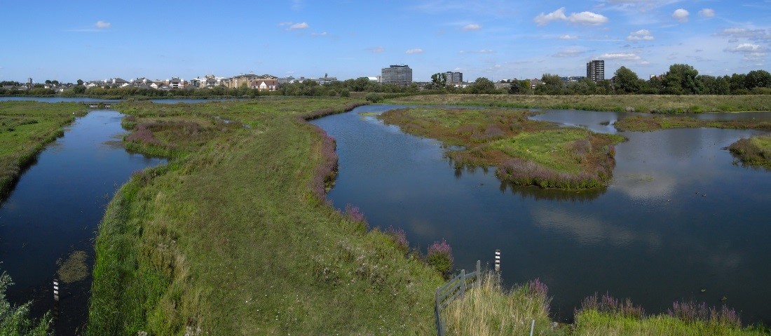 Wetlands