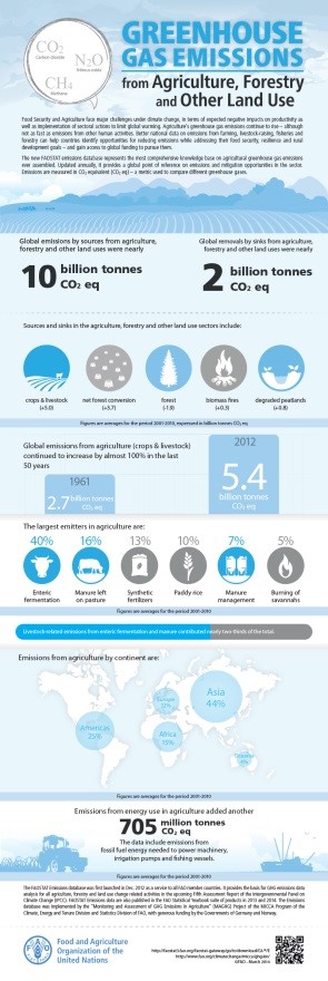 Greenhouse Gas Emissions